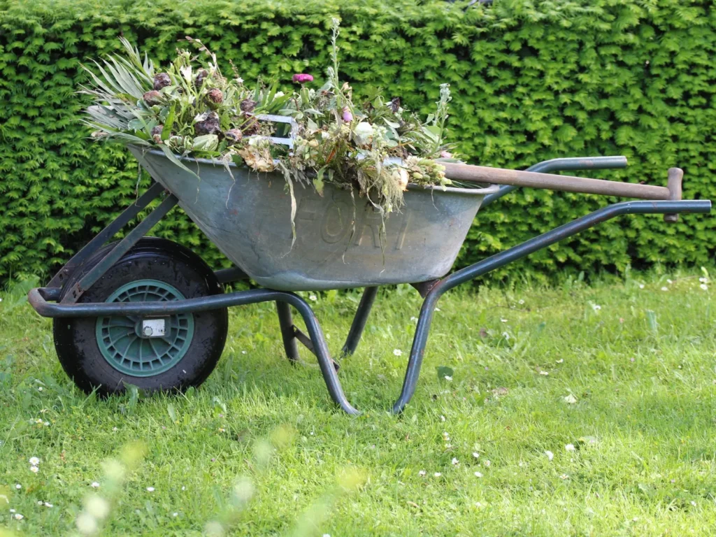 Garden & Outdoor