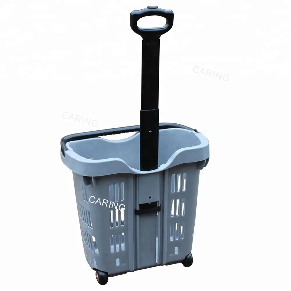 Rolling Basket CA-TL-6, photo 2