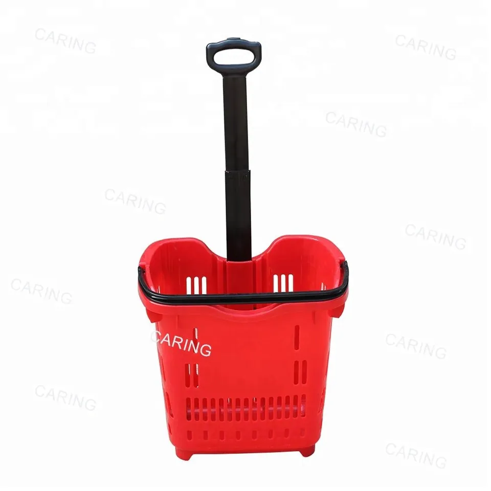 Rolling Basket CA-TL-6, photo 4