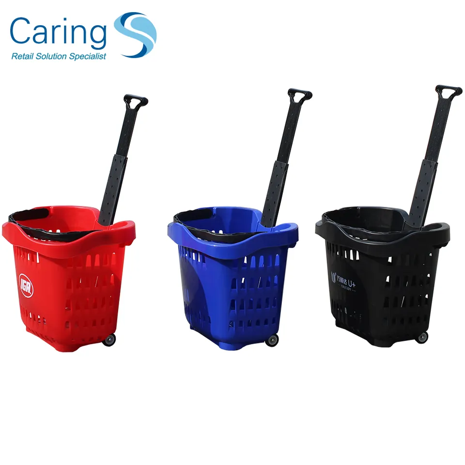 Rolling Basket CA-TL1