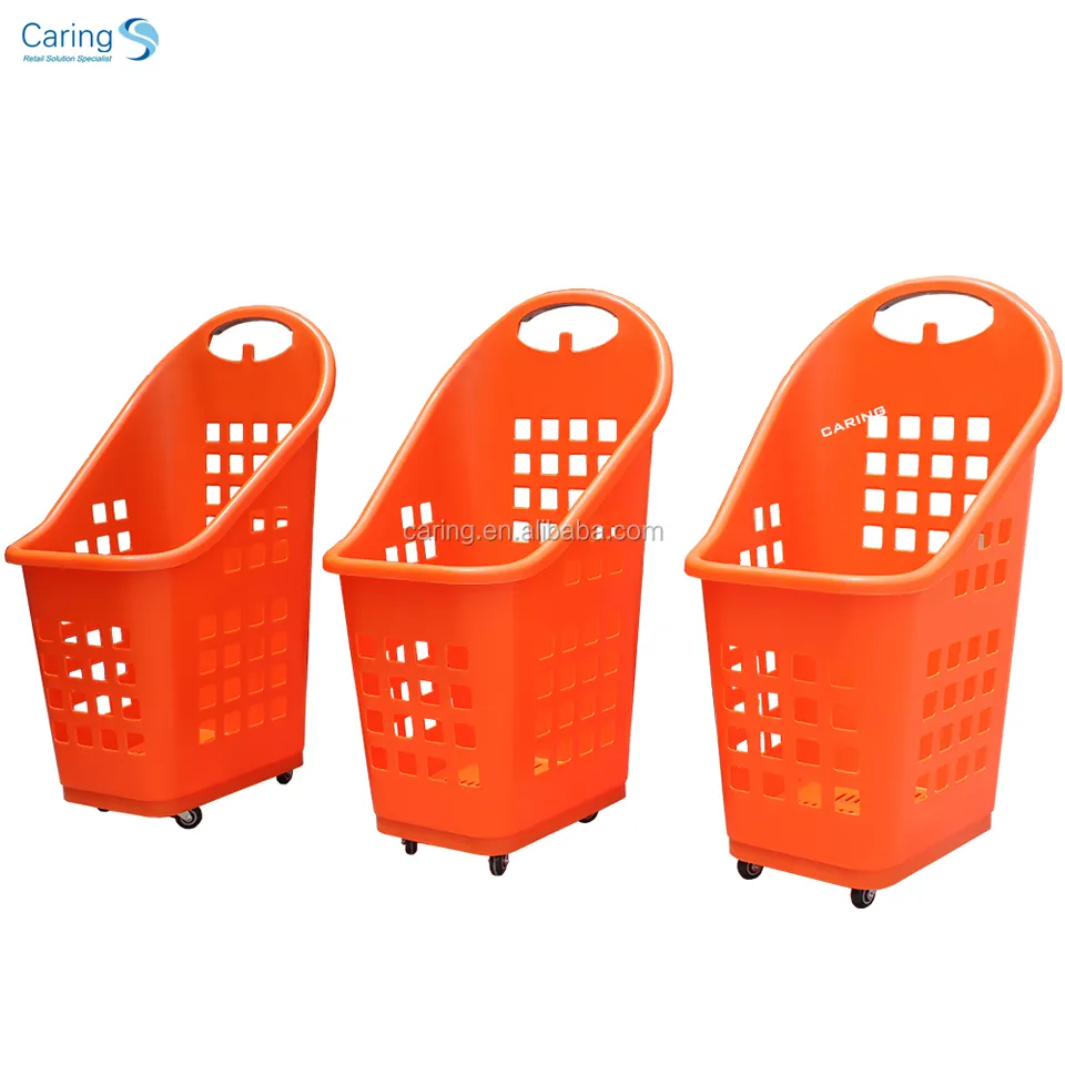 Rolling Basket with Telescopic Handle